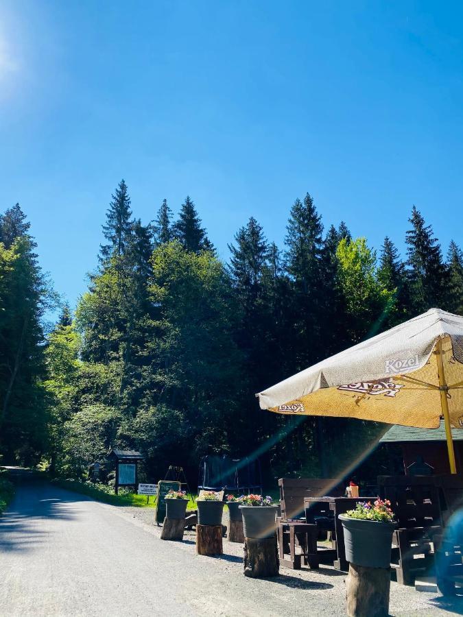 Penzion Lesní Zátiší- Harrachov Exterior foto