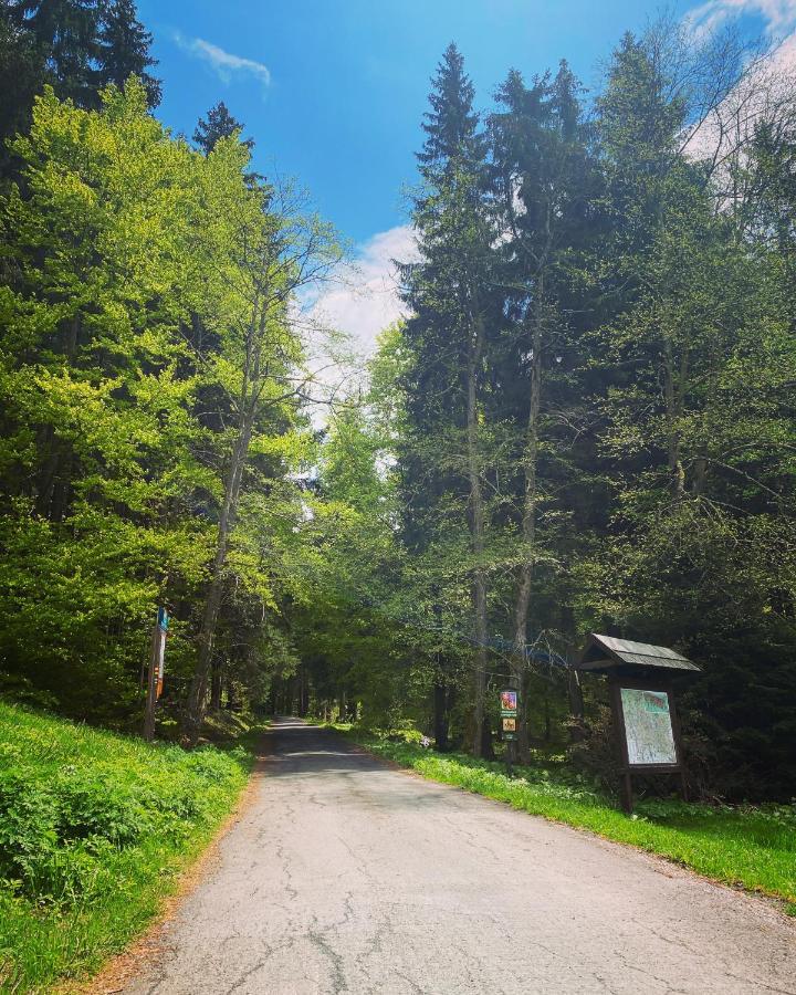 Penzion Lesní Zátiší- Harrachov Exterior foto