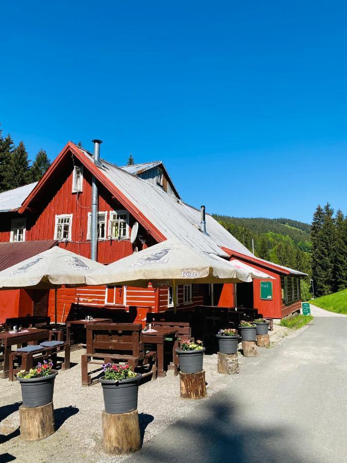 Penzion Lesní Zátiší- Harrachov Exterior foto