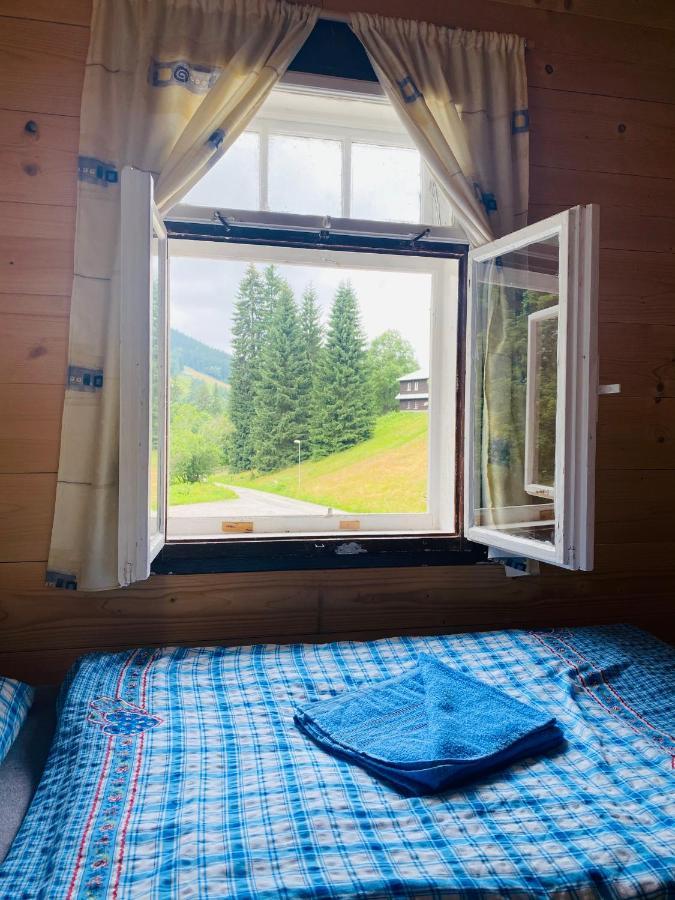 Penzion Lesní Zátiší- Harrachov Exterior foto